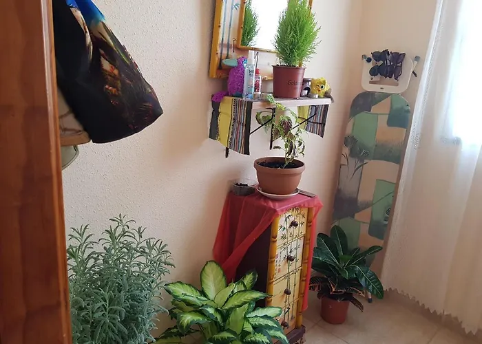 Laurainu Check In De 15 A 22 Homestay szállás *